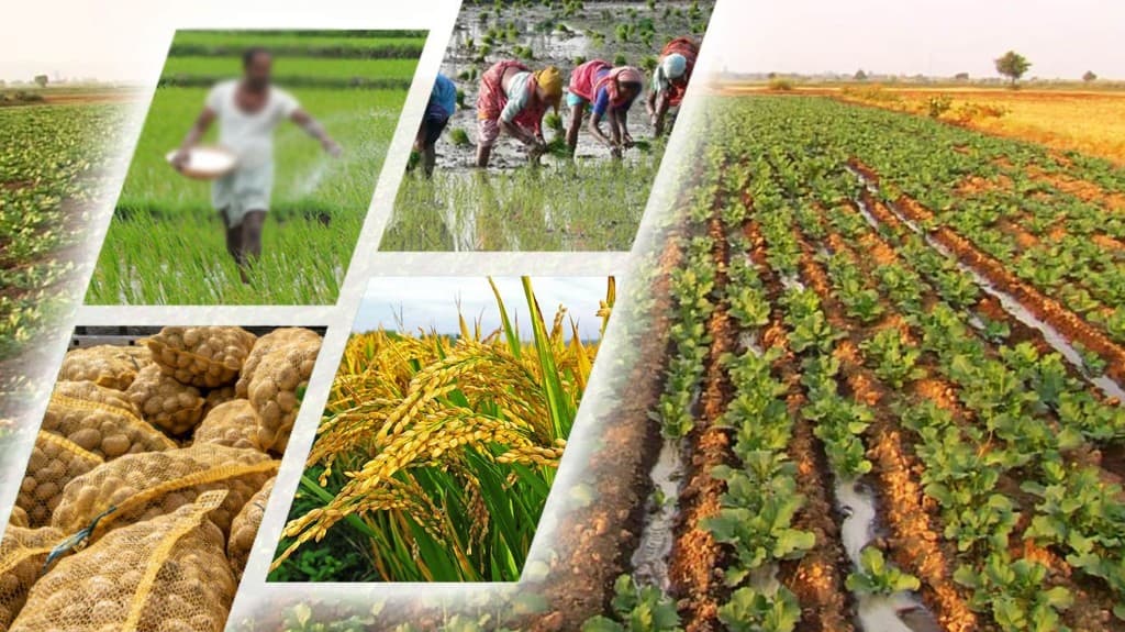 Collage of Indian farming sowing, transplanting, harvest and field crops